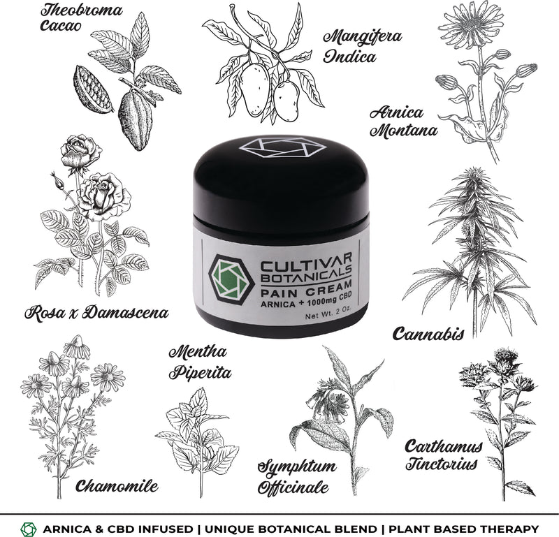 pain cream, pain relief cream, cbd pain cream, arnica pain cream, arnica cbd pain cream, cbd topicals,  1000mg pain cream, arthritis pain cream, muscular pain cream, nerve pain relief cream